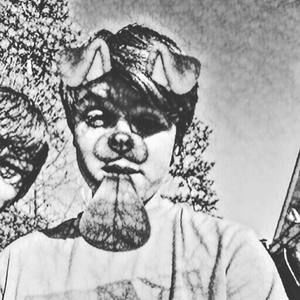 Meet your Posher, Perry